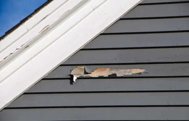 Best Siding Removal and Disposal  in Hamilton, MT